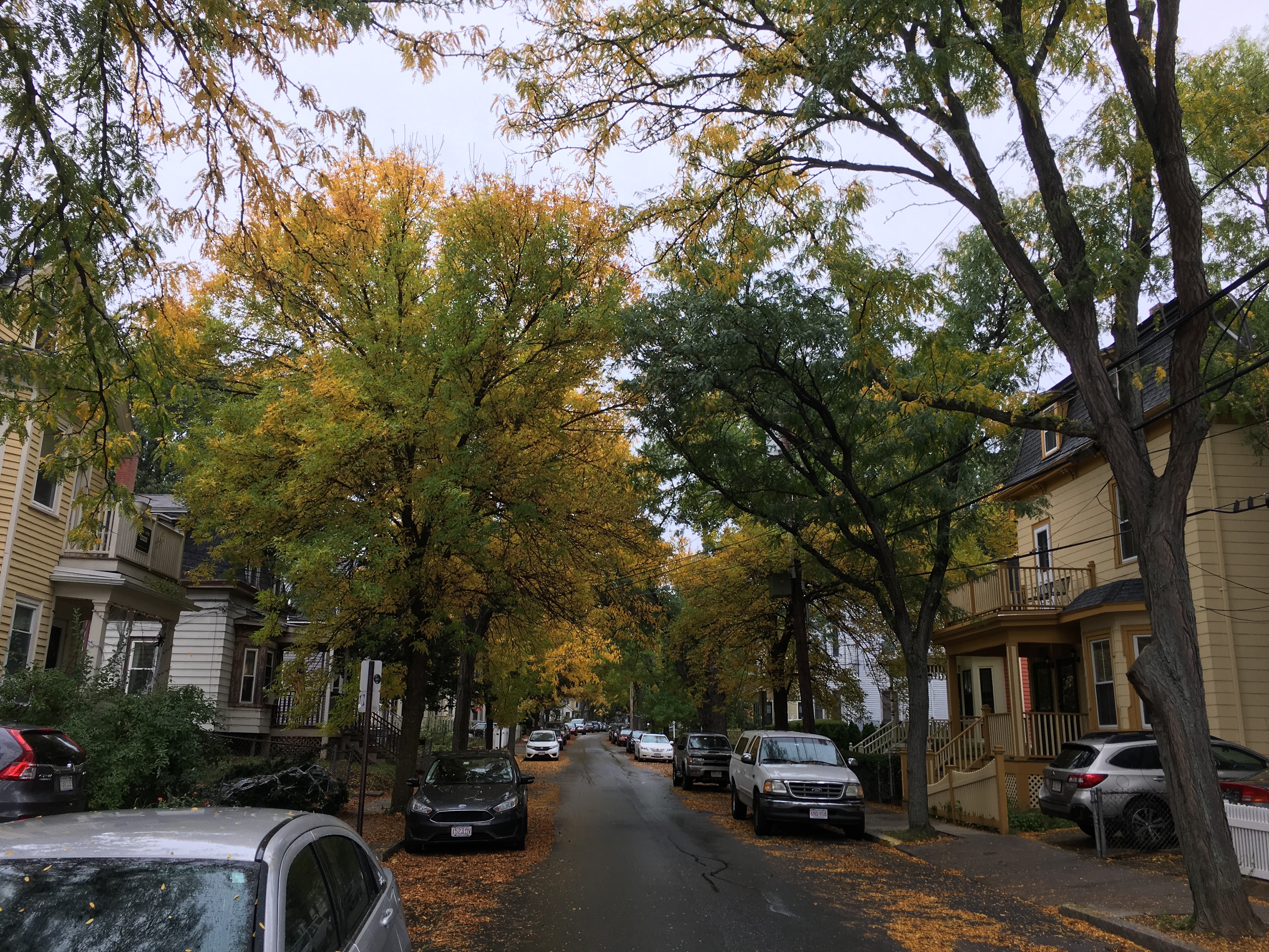 Fall